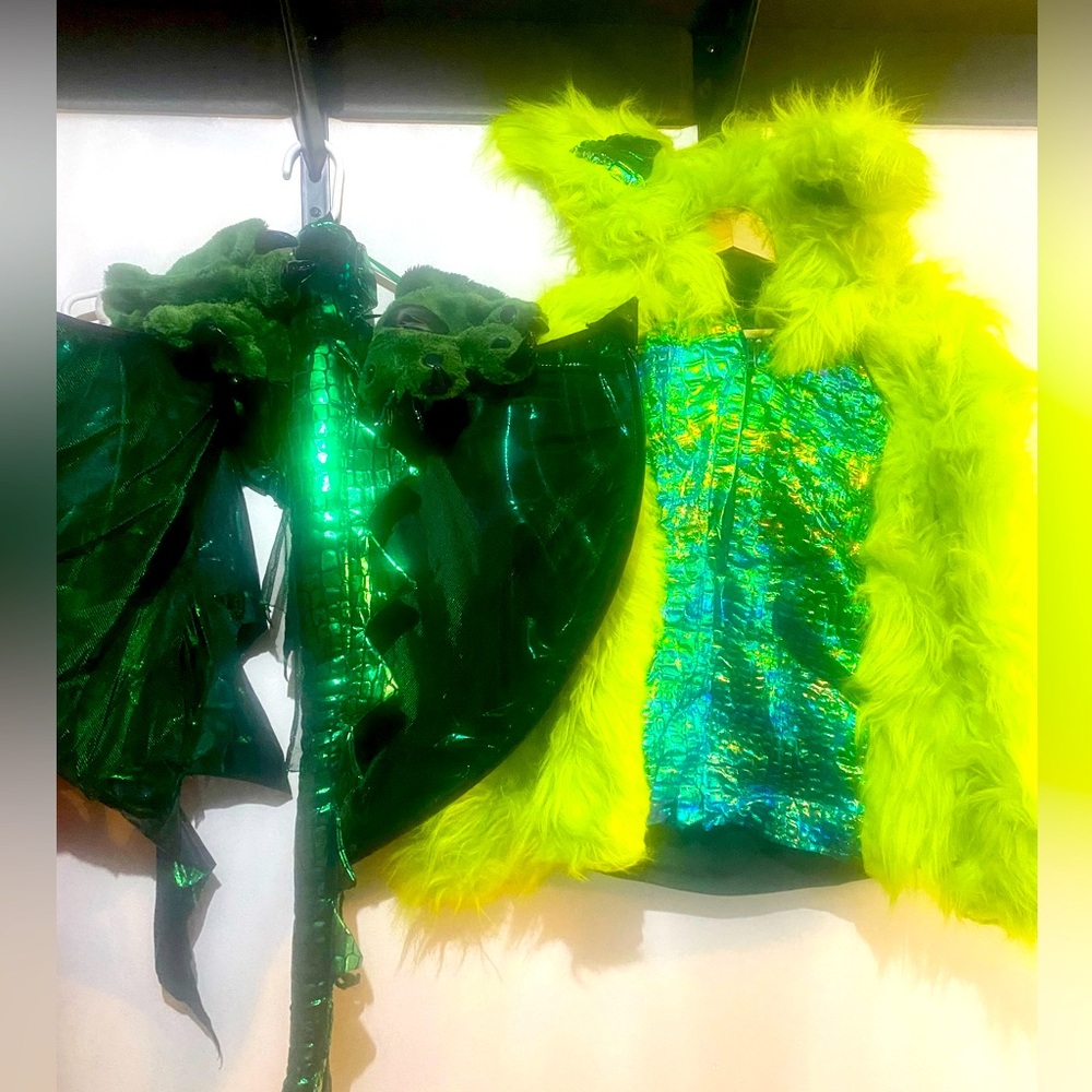 Halloween Homemade Dragon / monster Costume with wings, tail & gloves Kids 14/16